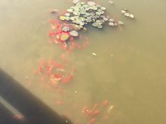 -无锡动物园·太湖欢乐园