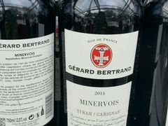紅酒-Bateaux Mouches塞纳河游船
