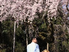 -醍醐寺