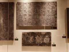-白鹤梁水下博物馆