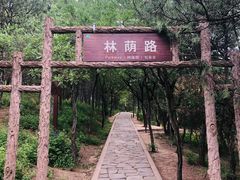 -磬锤峰森林公园