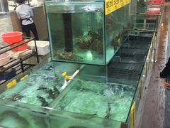 -寻味顺德·南记酒家·传统顺德菜·鱼生(广源路店)