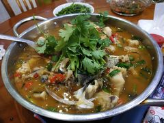 -全乐鱼馆·淳牌有机鱼直营店