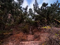 -太和山风景区