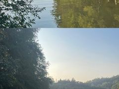 -深圳仙湖植物园