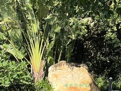-福田红树林生态公园