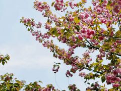 -梁鸿国家湿地公园