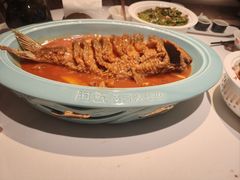 -阿五黄河大鲤鱼(英协路店)
