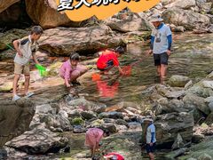 -少华山国家森林公园