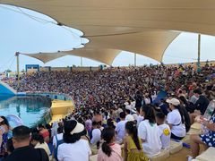 -秦皇岛乐岛海洋王国