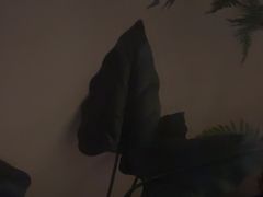 -轻语躺采·采耳·SPA(春熙路店)
