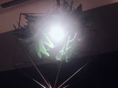 -通海俄式烧烤(下瓦房店)