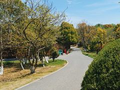 -天生桥景区