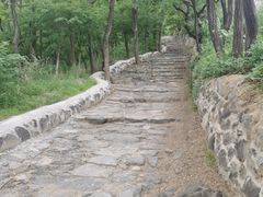 -阳台山自然风景区