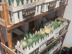 -菌极鲜野生菌火锅店(阳明祠店)