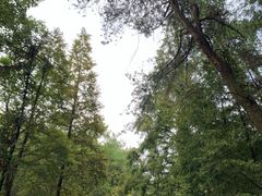 -綦江古剑山