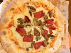 -浙江越秀外国语学院