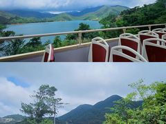 -Big Bus Tours 敞篷观光巴士