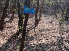 -宝界山林公园