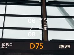 -上海浦东国际机场-T2航站楼