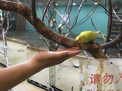 -上海大自然野生昆虫馆(东方明珠·爬宠昆虫探索中心)