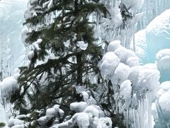 -青峰峡国家森林公园