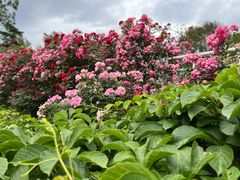 -国家植物园南园