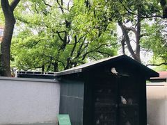-上海宋庆龄故居纪念馆
