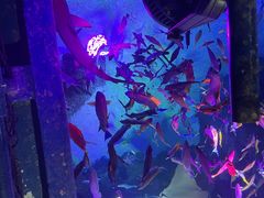 -沈阳海洋探索中心