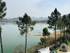 -四明湖