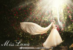 点击看大图 -韩国艺匠ARTIZ STUDIO(博览中心店)