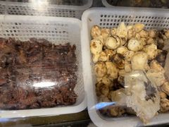 -草墩罗非鱼庄•野生菌•腊排骨(七星街上段店)