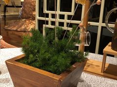 绿野仙踪薄荷虾-北京王府井希尔顿酒店·秦唐中餐厅Chynna