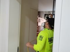 -绿色亿家除甲醛机构