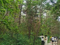 -帽儿山国家森林公园