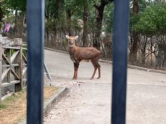 -不觉晓CAMPING(上海迪士尼营地店)