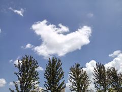 -上海体育场