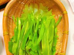 青笋片-菌子鲜汤野生菌锅