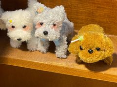 -西安电影制片厂