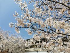 -苏州上方山国家森林公园