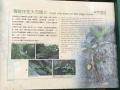 -太鲁阁公园