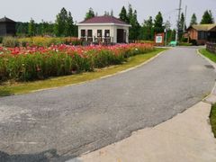 -松山湖梦幻百花洲