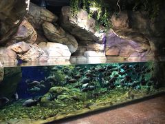 -波塞冬旅游度假区