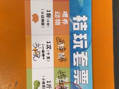 -前小桔亲子创意农场·草莓采摘·露营烧烤