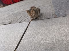 -宝通禅寺