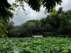 -上海醉白池公园