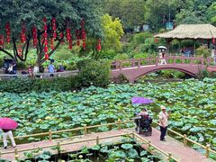 -广州莲花山旅游区