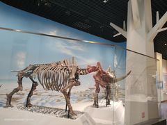 -国家自然博物馆