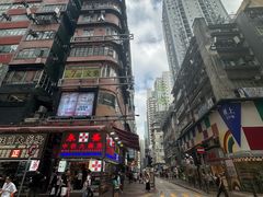 -油麻地果栏