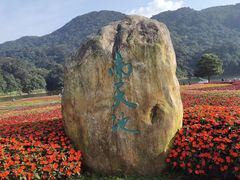 -广州市石门国家森林公园
